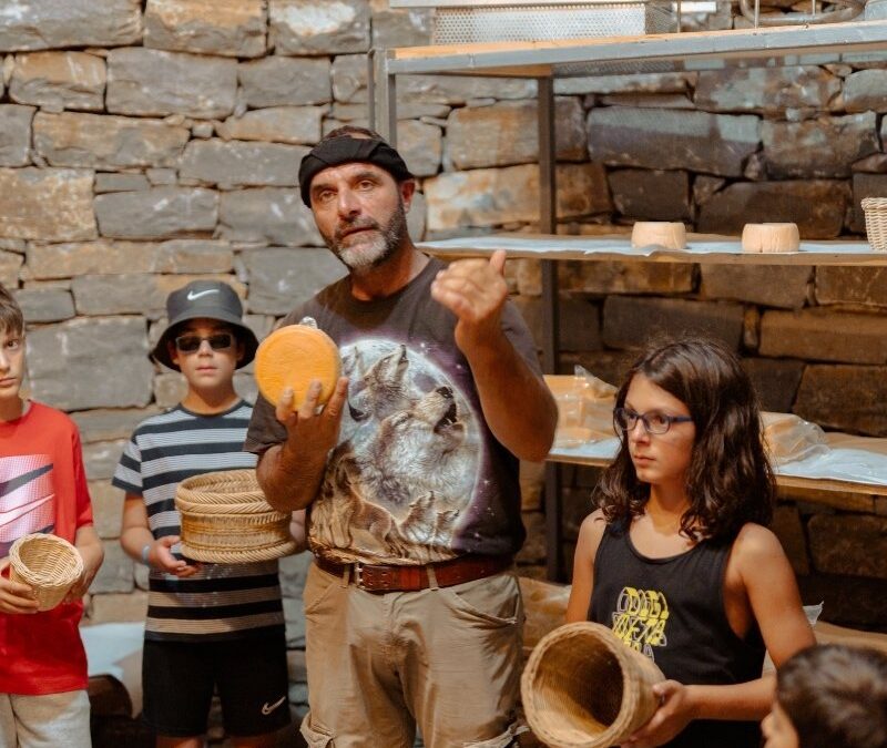 Authentic Cretan Farm & Gastronomy Private Experience