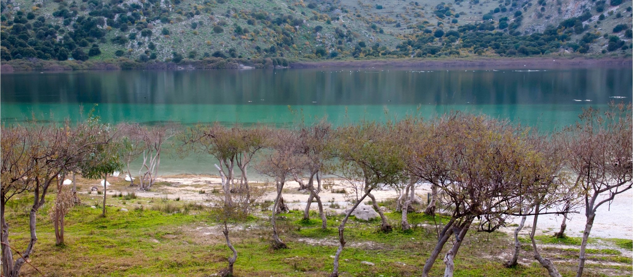 Chania Venetian Charm & Kournas Lake