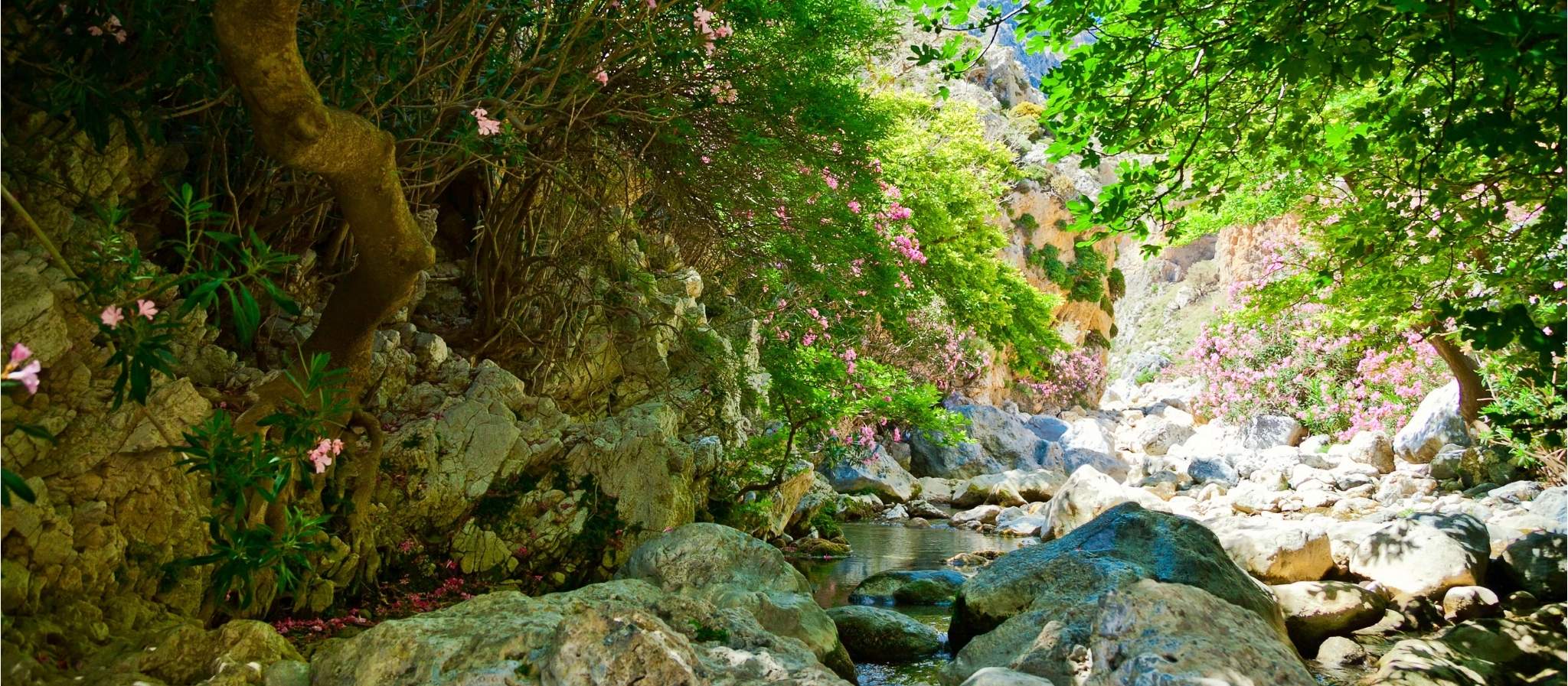 Kourtaliotiko Gorge & Kalypso Village
